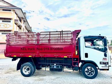 New 2025 Isuzu lori steel tipper & wooden lorry