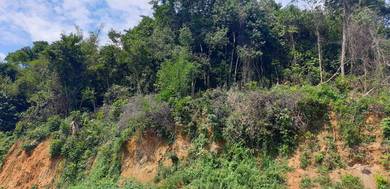 Agricultural-Land-for-sale-Raub-Pahang