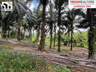AGRICULTURE LAND | JALAN MUTIARA |Sungai Kod Karangan