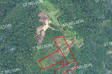 Land Papar For Sale