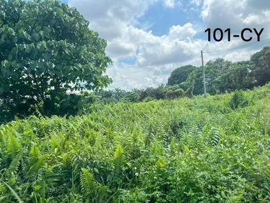 Agricultural-Land-for-rent-Telok-Panglima-Garang-Selangor-2