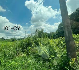 Agricultural-Land-for-rent-Telok-Panglima-Garang-Selangor