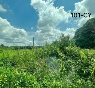 Agricultural-Land-for-rent-Telok-Panglima-Garang-Selangor-3