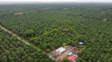Tanah Pertanian Kampung Ladang Batu Tanjung Sepat