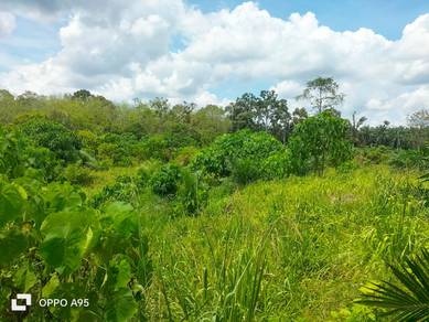 Agricultural-Land-for-sale-Lanchang-Pahang