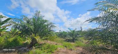 Agricultural-Land-for-sale-Slim-River-Perak