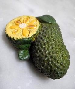 MAGNET - Cempedak Fruit