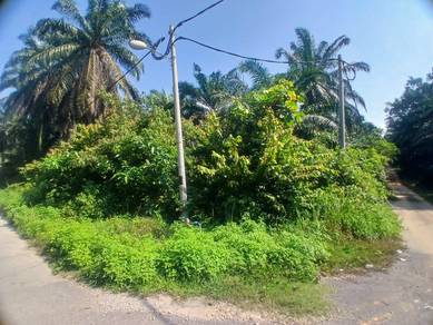 Tanah Pertanian Lokasi Strategik , Bukit Damar , Dengkil
