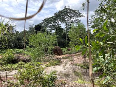 Tanah Pertanian 1.11 ekar BANDAR SG LONG MAHKOTA CHERAS (Rezab Melayu)