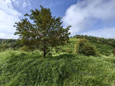 Agricultural-Land-for-sale-Raub-Pahang