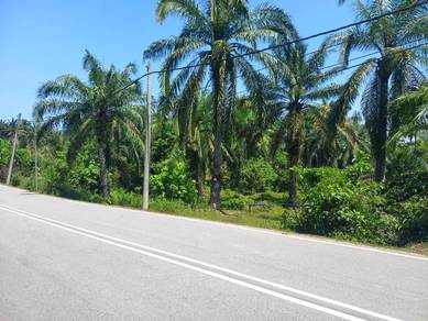 Agricultural-Land-for-sale-Sungai-Siput-Perak