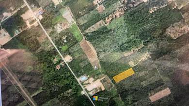 Agricultural-Land-for-sale-Slim-River-Perak