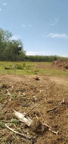 Land-for-sale-Kuala-Ketil-Kedah-1