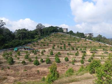 Agricultural-Land-for-sale-Bentong-Pahang