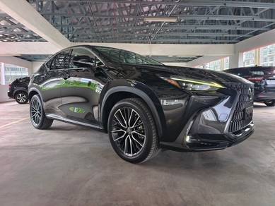 Lexus NX250 2.5 LUXURY HUD 4CAM BSM UNREG