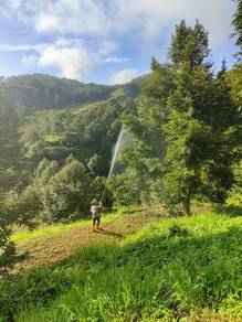Agricultural-Land-for-sale-Bentong-Pahang