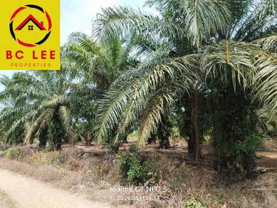 Agricultural-Land-for-sale-Sungai-Pelek-Selangor