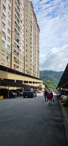 Lakeview Aparment Selayang For Sale