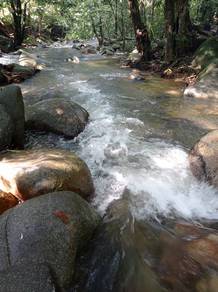 Agricultural-Land-for-sale-Selayang-Selangor