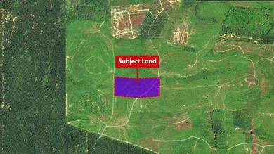 Agricultural-Land-for-auction-Bentong-Pahang