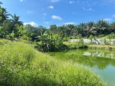 Johor Bahru Plentong Masai 11 Acre Agricultural Oil Palm Land Rm15 psf