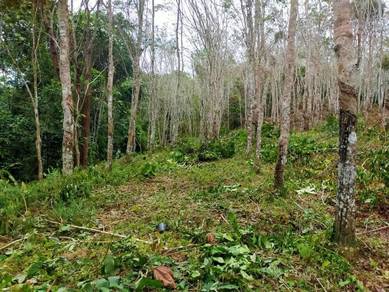 Agricultural-Land-for-sale-Kuala-Pilah-Negeri-Sembilan