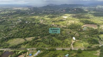 NT Land | 24.28 acres | Flat | Agricultural | Bongawan | Papar |