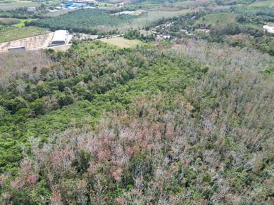 Agricultural-Land-for-sale-Jitra-Kedah