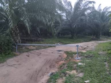 [FREEHOLD] Jasin Selandar Machap Baru Agriculture Land @ Melaka Tengah