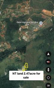 NT land 2.47acre in Kundasang Mesilau