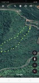Agricultural-Land-for-sale-Tamparuli-Sabah
