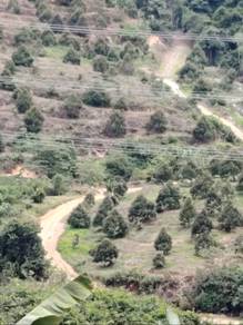 Agricultural-Land-for-sale-City-Centre-Kuala-Lumpur