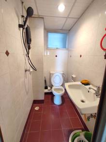 N-Park Condominium Fully Renovation& Fully Furnished
