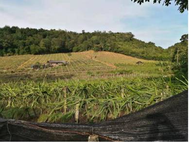 Pajam Nilai Commercial land Negeri Sembilan 6 acres Beside main road
