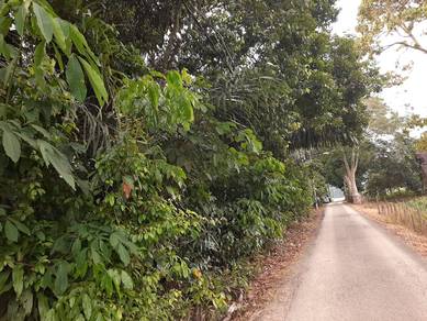 Tanah cantik permandangan sawah 1.81 ekar