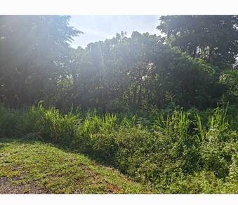 Residential-Land-for-sale-Taiping-Perak