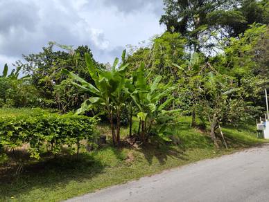 Detached Land At Nearby Crookshank Road & Bampfylde Road For Sale