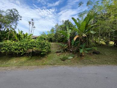 Detached Land At Nearby Crookshank Road & Bampfylde Road For Sale