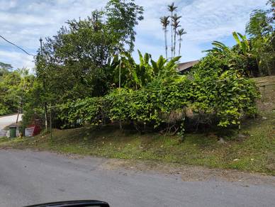 Detached Land At Nearby Crookshank Road & Bampfylde Road For Sale