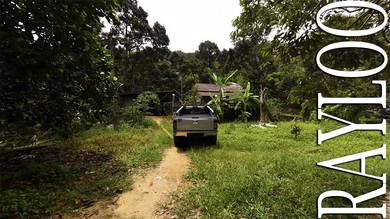 (360 VR) Air Putih Near Botanica CT 5% Harvest Return Durian Estate