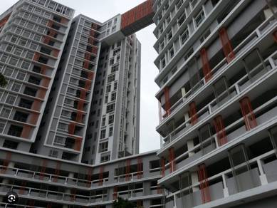 Suria Jelutong-3