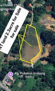 NT land 2.3acre in Donggongon Kg Inobong