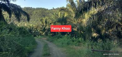 Palm Oil Land for Sale | Kunak | Lahad Datu | Tawau