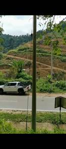 Agriculture land 9 Acres jelebu titi facing main Road negeri sembilan