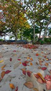 Mixed-Development-Land-for-rent-Batu-Maung-Penang