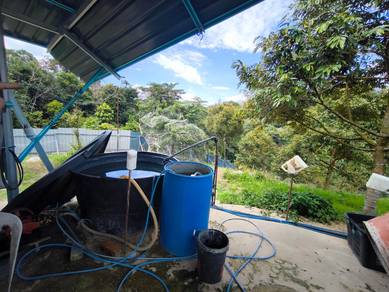 Agricultural-Land-for-sale-Bentong-Pahang