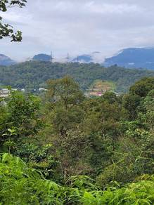 Agricultural-Land-for-rent-Bentong-Pahang