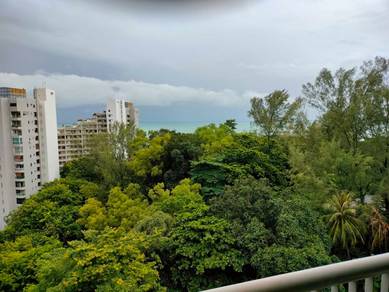 Miami Green