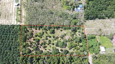Agricultural-Land-for-sale-Raub-Pahang