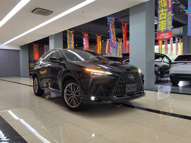 Recon Lexus NX 250 2.5 Version L M/Levinson